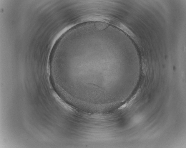 X0000071961028200607071447