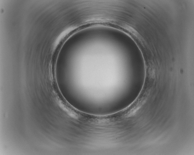 X0000071961030200607071447