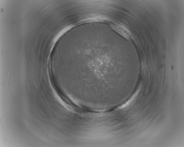 X0000071961034200607071447