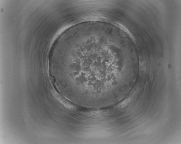 X0000071961035200607071447