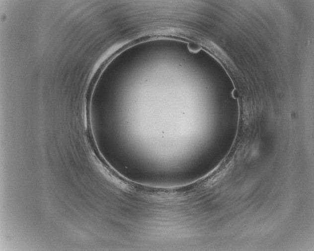 X0000071961036200607071447