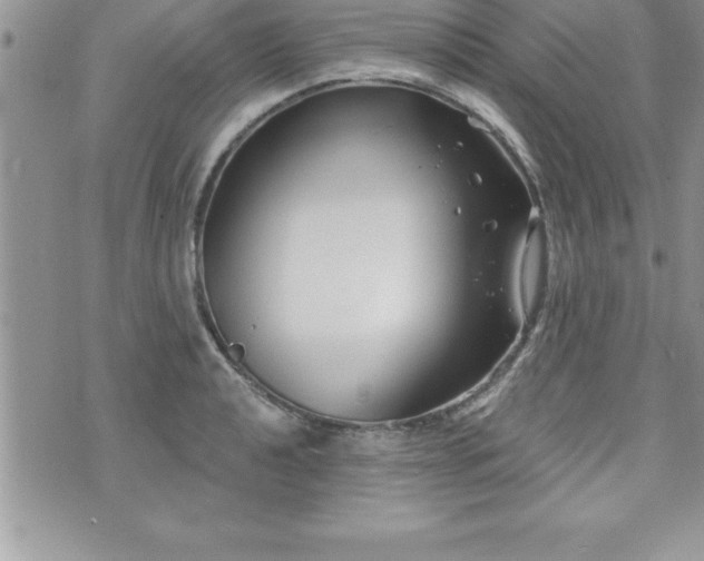 X0000071961040200607071447