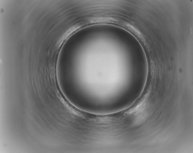 X0000071961041200607071447