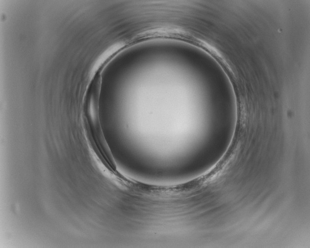 X0000071961042200607071448