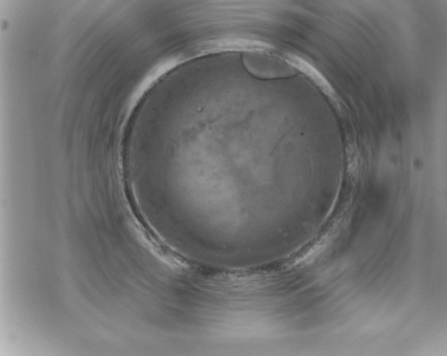 X0000071961043200607071448