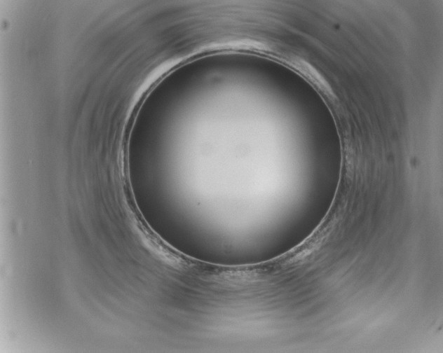 X0000071961044200607071448