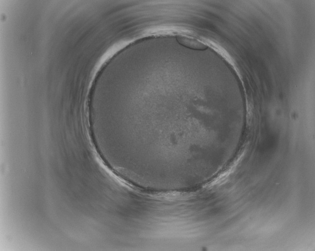 X0000071961045200607071448