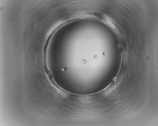 X0000071961046200607071448