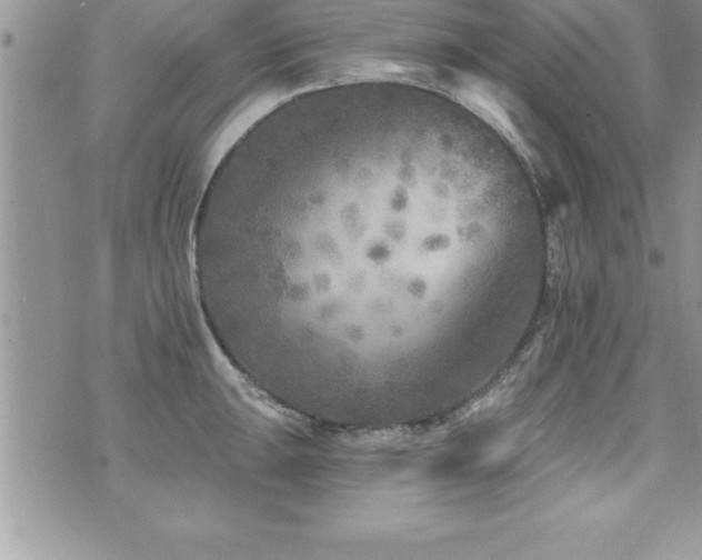 X0000071961047200607071448