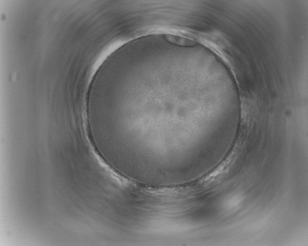 X0000071961048200607071448