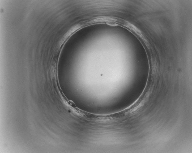 X0000071961049200607071448