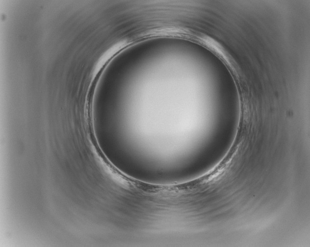 X0000071961050200607071448