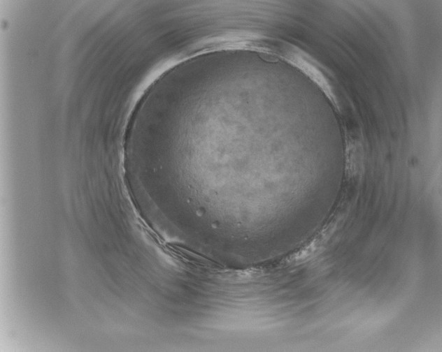 X0000071961051200607071448