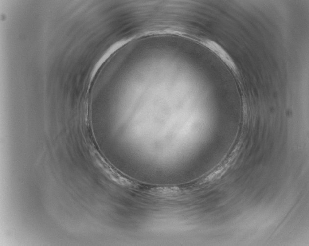 X0000071961052200607071448