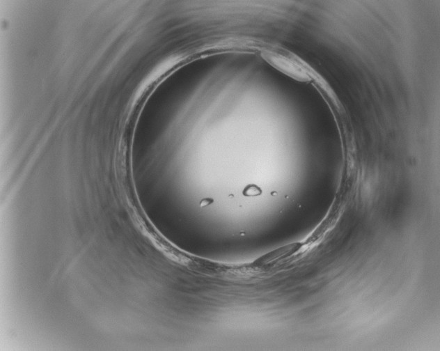 X0000071961053200607071448