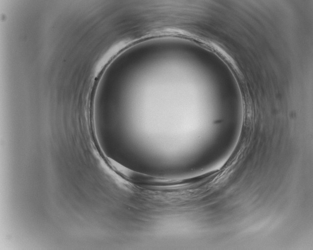 X0000071961054200607071448