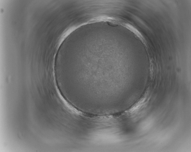 X0000071961055200607071448