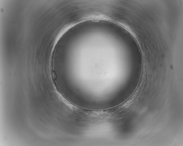 X0000071961056200607071448