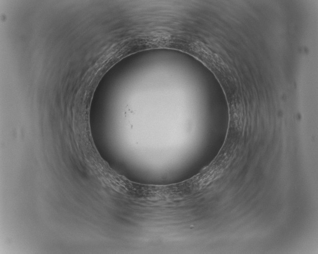 X0000071961057200607071447