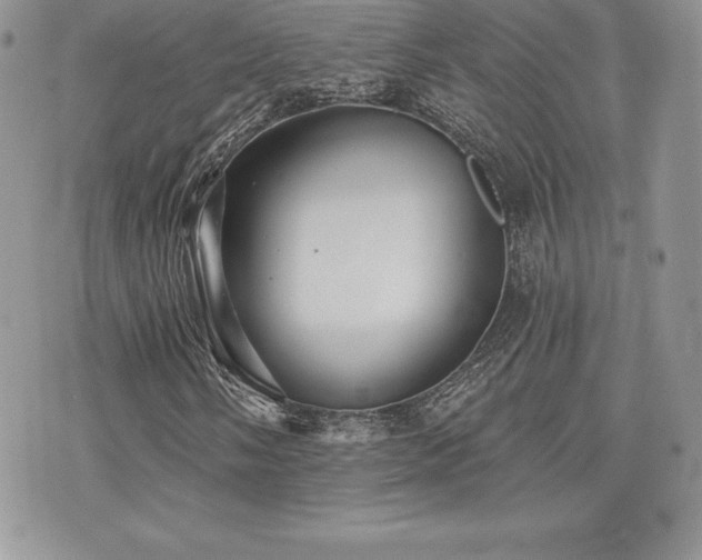 X0000071961058200607071447