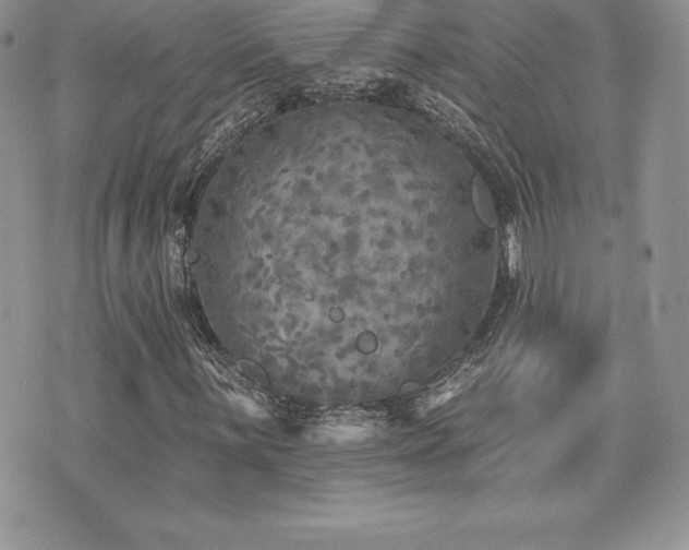 X0000071961059200607071447