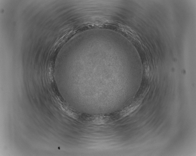 X0000071961060200607071447