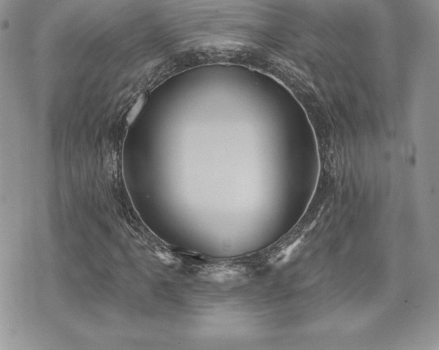 X0000071961061200607071447