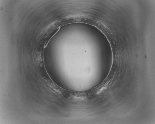 X0000071961062200607071447