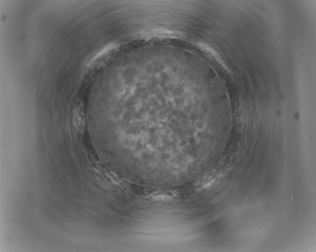 X0000071961063200607071447