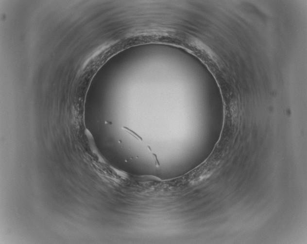 X0000071961064200607071447