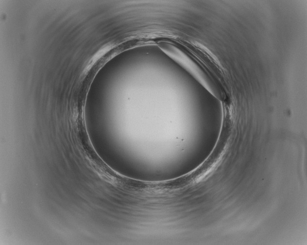 X0000071961065200607071447