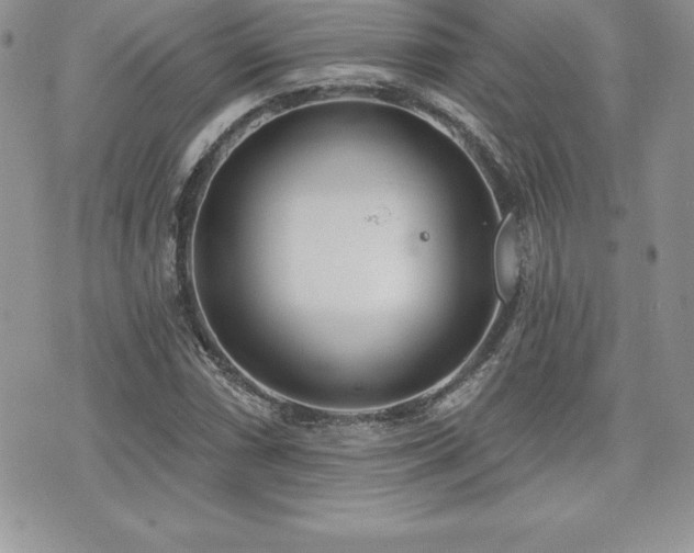 X0000071961066200607071447