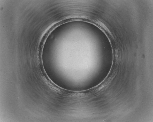 X0000071961068200607071447