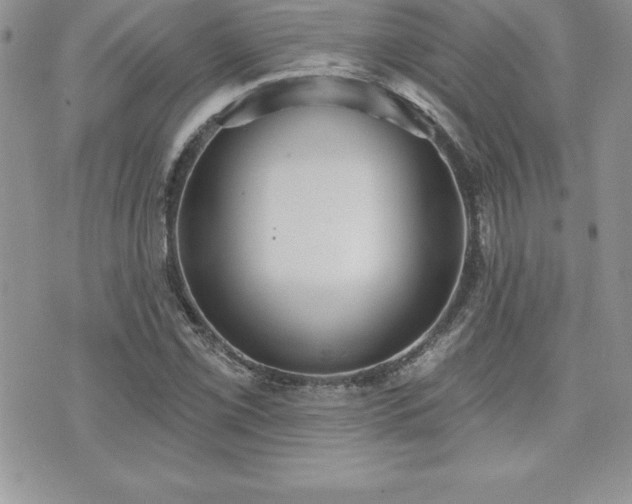 X0000071961069200607071447