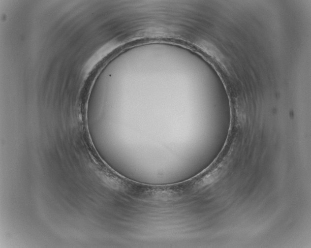 X0000071961070200607071447