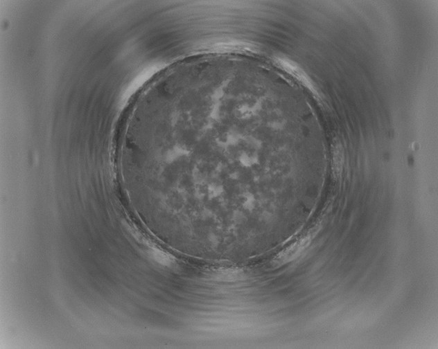 X0000071961071200607071447