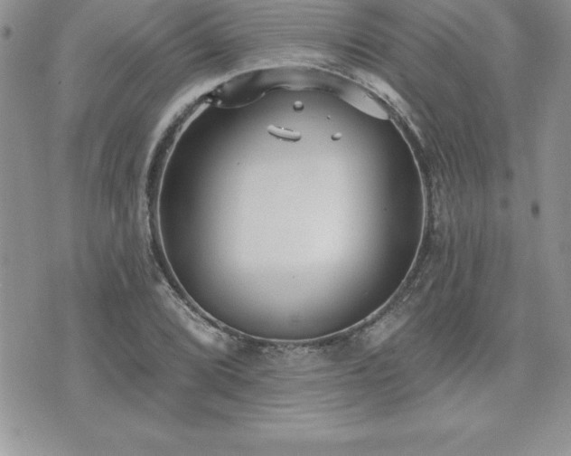 X0000071961072200607071447