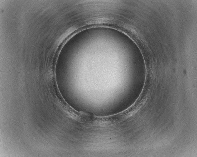 X0000071961073200607071447