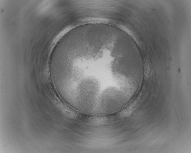 X0000071961074200607071447