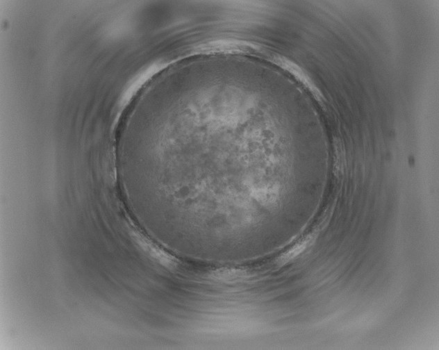 X0000071961075200607071447