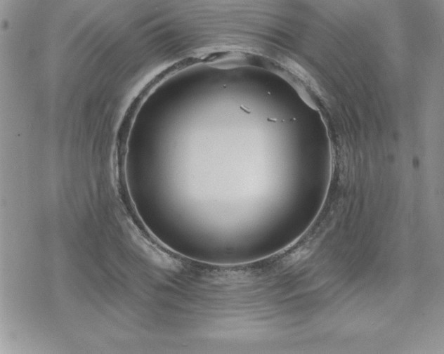 X0000071961076200607071447