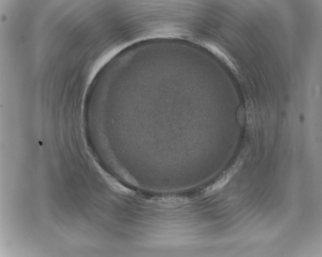 X0000071961077200607071447