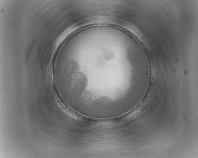 X0000071961078200607071447