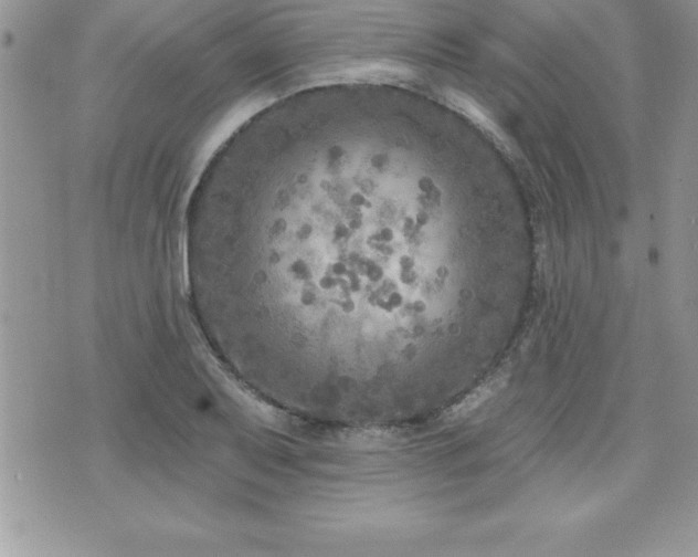 X0000071961079200607071447