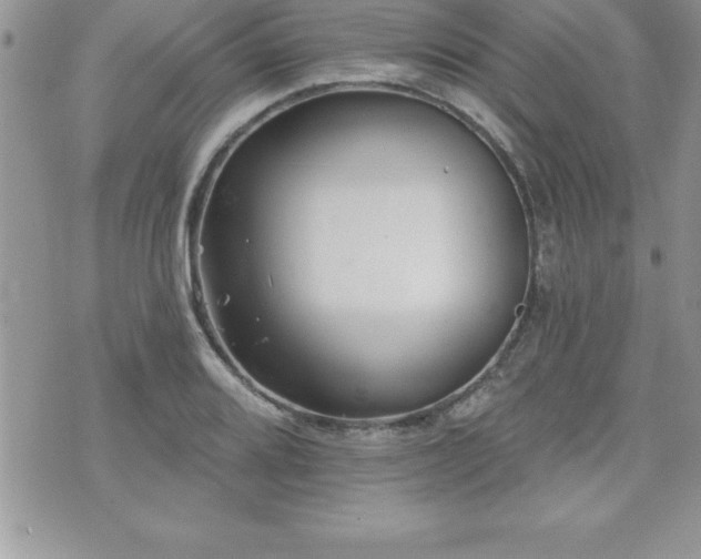 X0000071961080200607071447