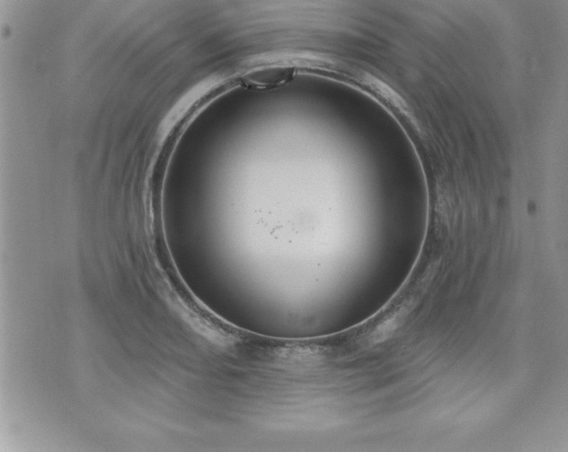 X0000071961082200607071447