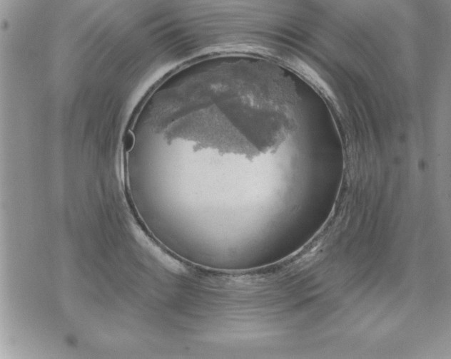 X0000071961084200607071447