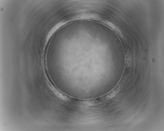 X0000071961086200607071446