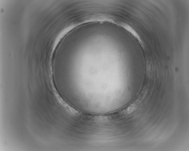 X0000071961088200607071446