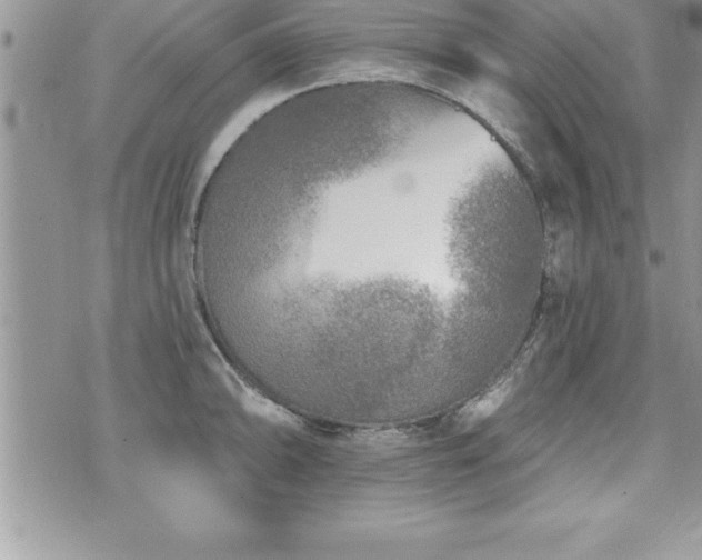 X0000071961094200607071446